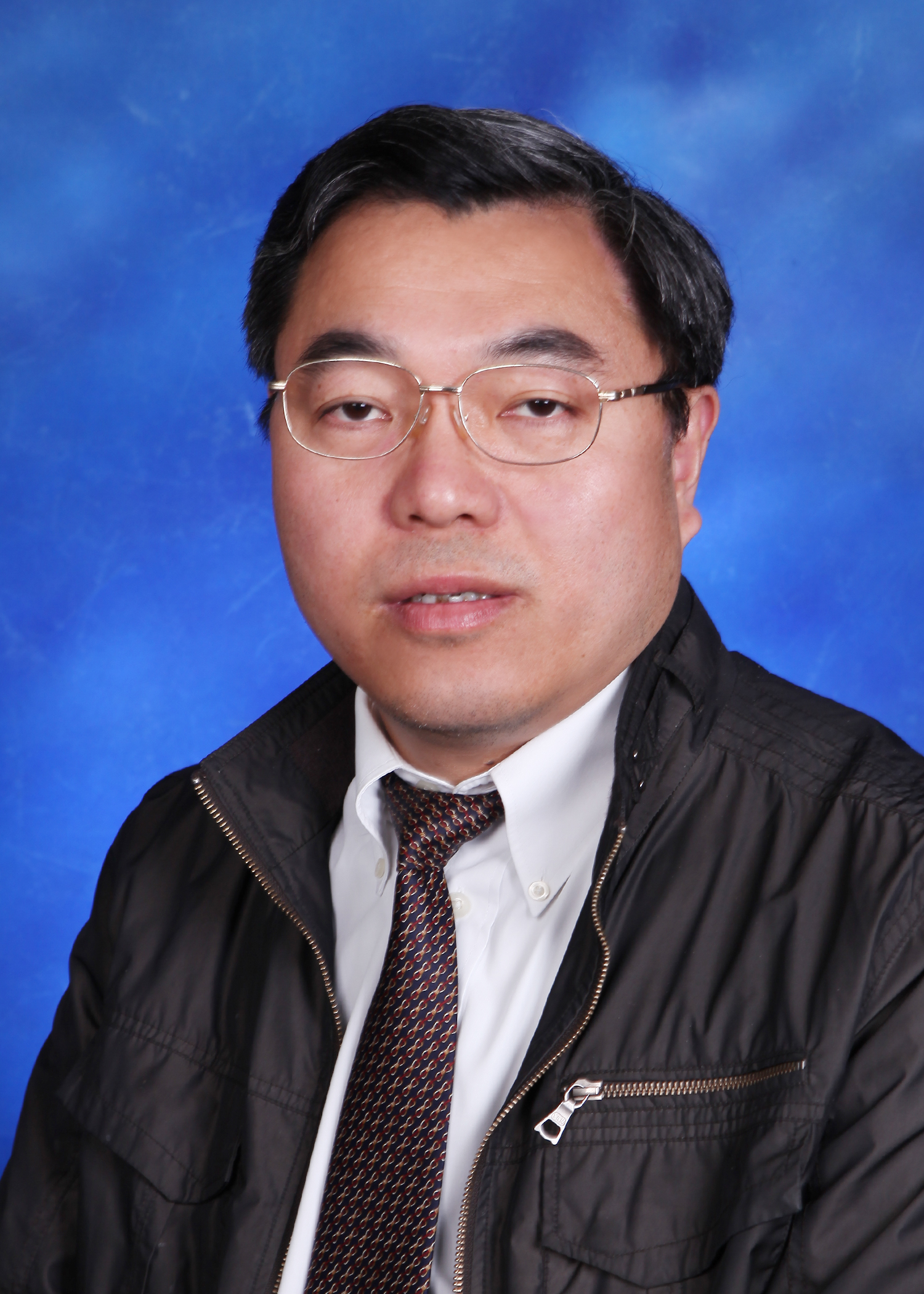 副院长 王华平研究员
